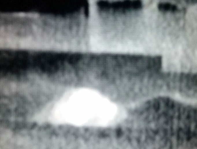 當待產北極熊在挖掘的洞穴中休息時，由保育組織和大學合組的研究團隊就利用熱顯像技術，遠距觀察牠（亮點）的動靜。取自polarbearsinternational.org