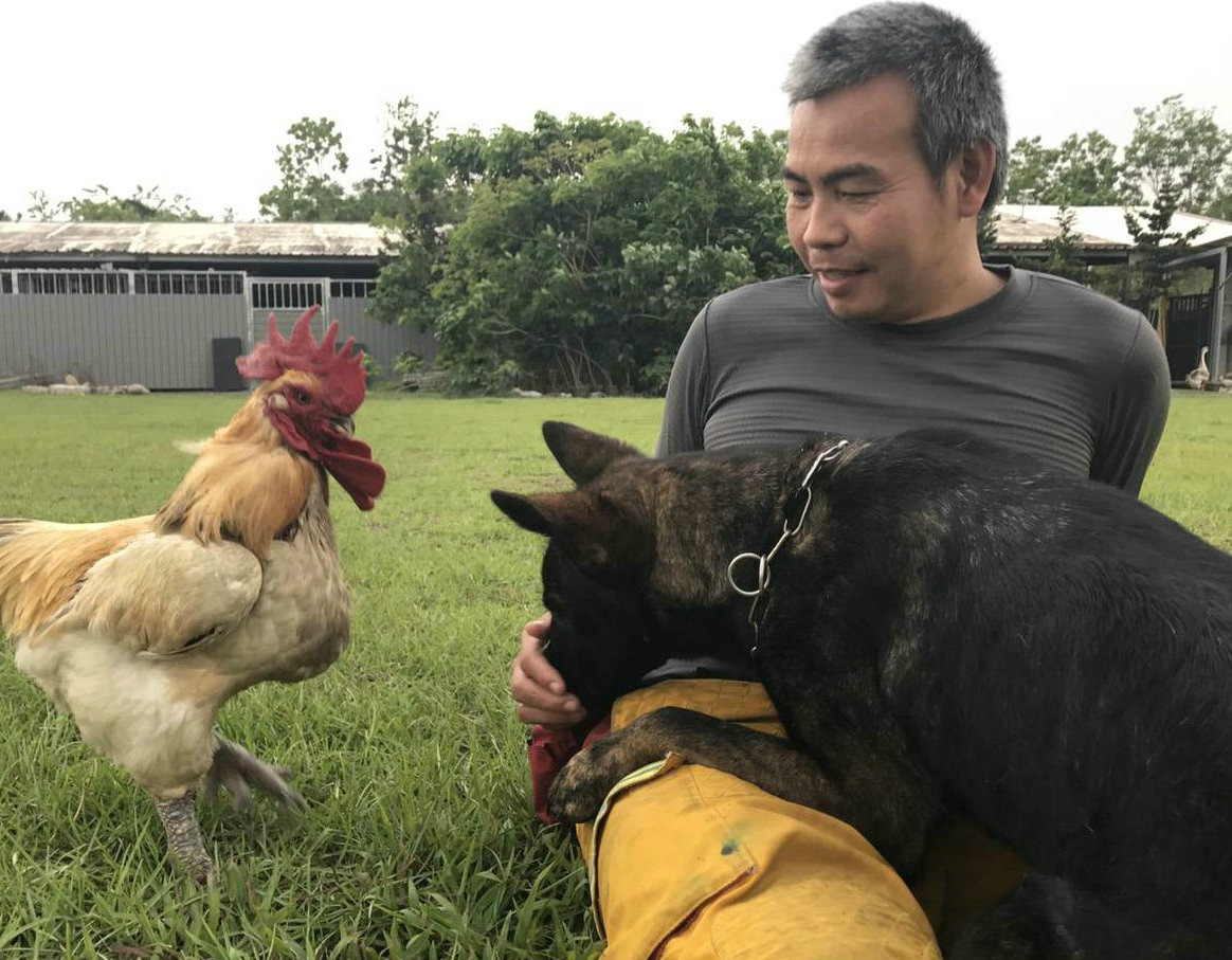 遍布的捕獸鋏，讓循著人的氣味工作的搜救犬，也置身於危境中，我們還要為捕獸鋏的使用留後門嗎？　李孝康/提供