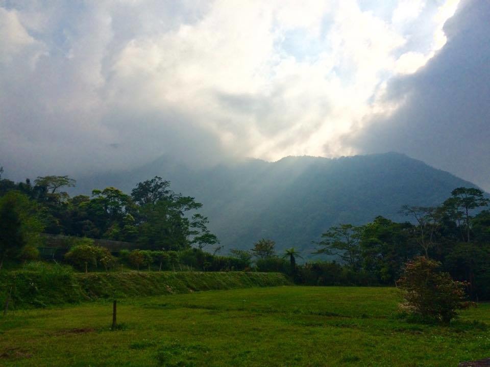 烏石坑地區的草坪上常見到野兔及野豬出沒。(林彥博_攝)
