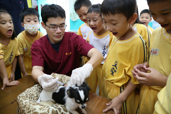 動保處獸醫在幫校園犬「小愛」打針,小朋友看的目瞪口呆。新北市政府農業局提供