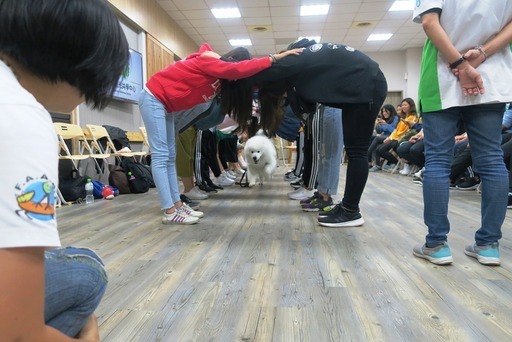 狗醫生與元培同學們共同進行活動。元培醫事科技大學/提供