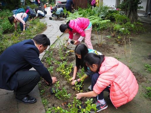 珍古德協會結合永和的社區與企業義工,共同在秀朗國小種下眾多台灣原生植物來創造適合蝴蝶的生態。APP/提供