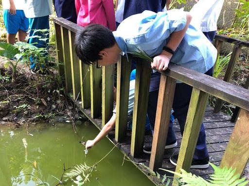 螢橋國中為復育螢火蟲棲地,特地在校園中規畫了生態池。APP/提供