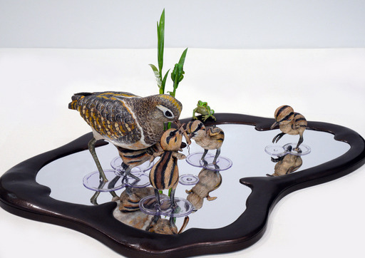 「FATHER」タマシギ_田鷸_池田得利_日本。文化部/提供