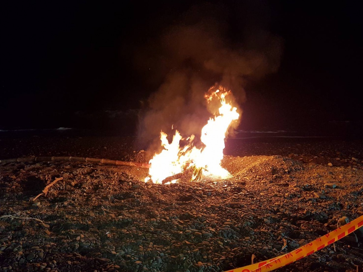 採集檢體後，該豬屍體即以火燒方式消滅潛藏病原菌並就地焚毀掩埋。屏東縣政府/提供