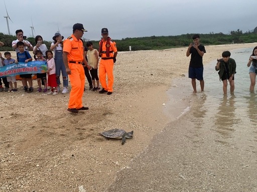 野放的海龜分別為一隻欖蠵龜及一隻綠蠵龜。屏東縣政府/提供