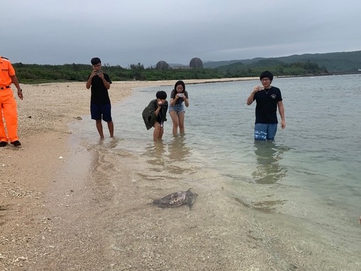 藉由野放海龜的活動讓社會大眾能夠多了解生物多樣性及海洋保育的重要性。屏東縣政府/提供