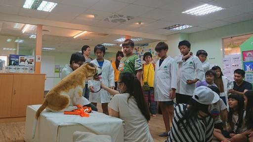 景文科大社團帶領恩加貧童體驗生命探索關懷寵物。景文科技大學/提供