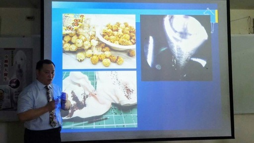 有些毛小孩尿路結石在內視鏡下看就像爆米花。元培醫事科技大學/提供