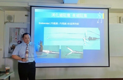 許志全醫師展示內視鏡手術器械。元培醫事科技大學/提供