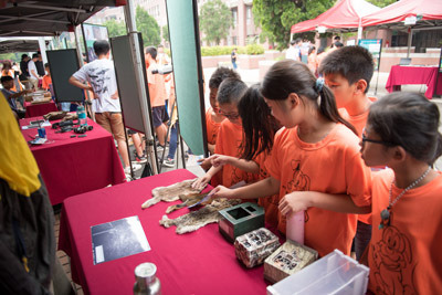 小朋友在大葉大學生資系學生的介紹下認識石虎。大葉大學/提供
