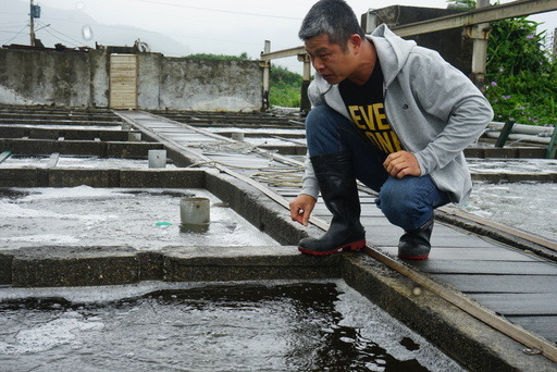 回到家鄉修復毀損的養殖池，復養沒落多年的九孔。陳宇/翻攝