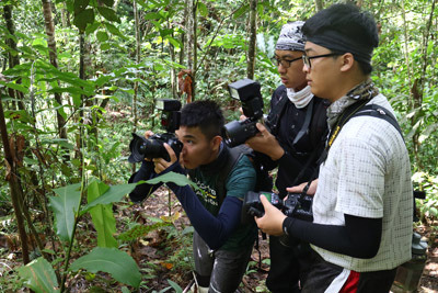 大葉大學生資系學生前往馬來西亞實習，調查雨林生物資源。大葉大學/提供