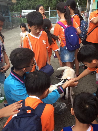 屏東縣政府/提供