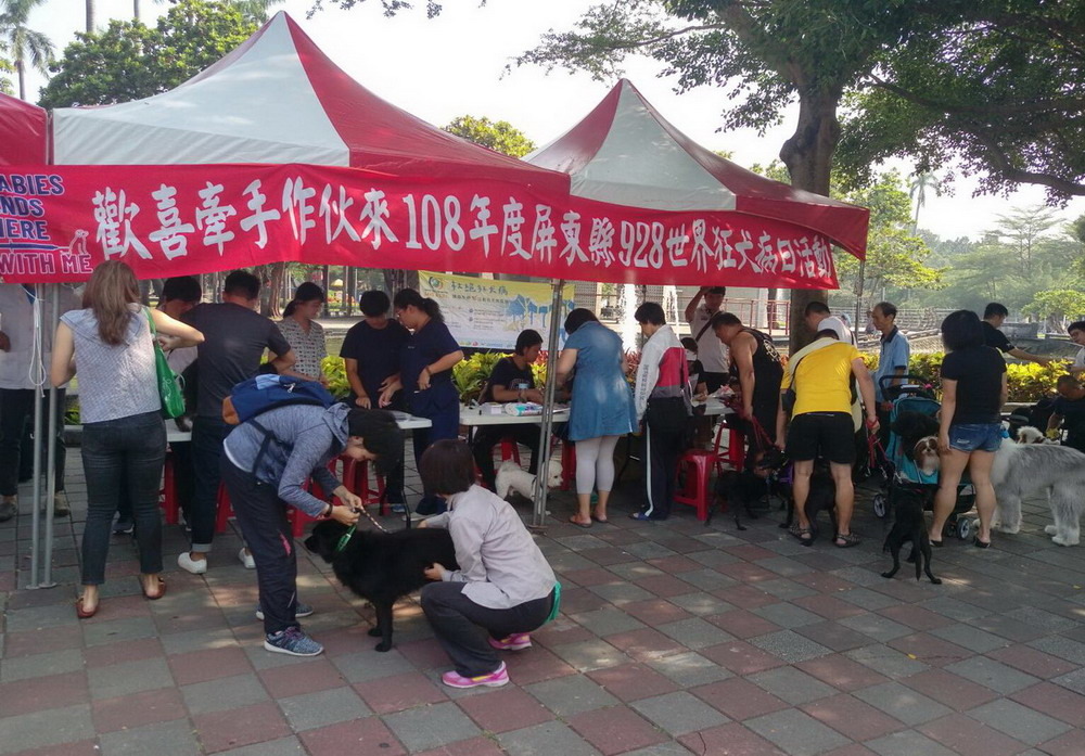 家中犬貓只要出生3個月便可施打疫苗,每年例行追加一劑。屏東縣政府/提供