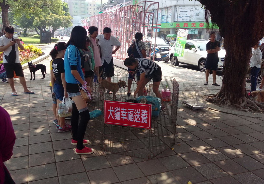 「歡喜牽手作伙來-屏東928世界狂犬病日活動」,內容包括狂犬病防疫宣導、寵物健康檢查、寵物美容、反毒宣導…等多項活動。屏東縣政府/提供