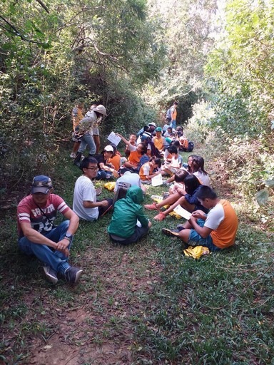墾丁國家公園區除了豐富的蜜源植物供應蝴蝶成蟲吸食，還有茂盛的幼蟲食草，蝶類有近百種。屏東縣政府/提供