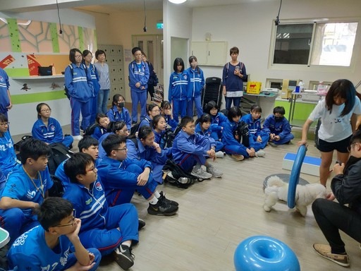 新北市中平國民中學對於寵物犬的訓練過程感覺十分的新奇有趣。元培醫事科技大學/提供