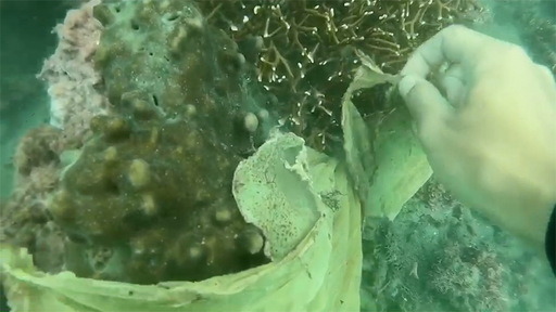 臺東縣今年6月世界海洋日淨灘及淨海時清出高達900多公斤垃圾。臺東縣政府/提供