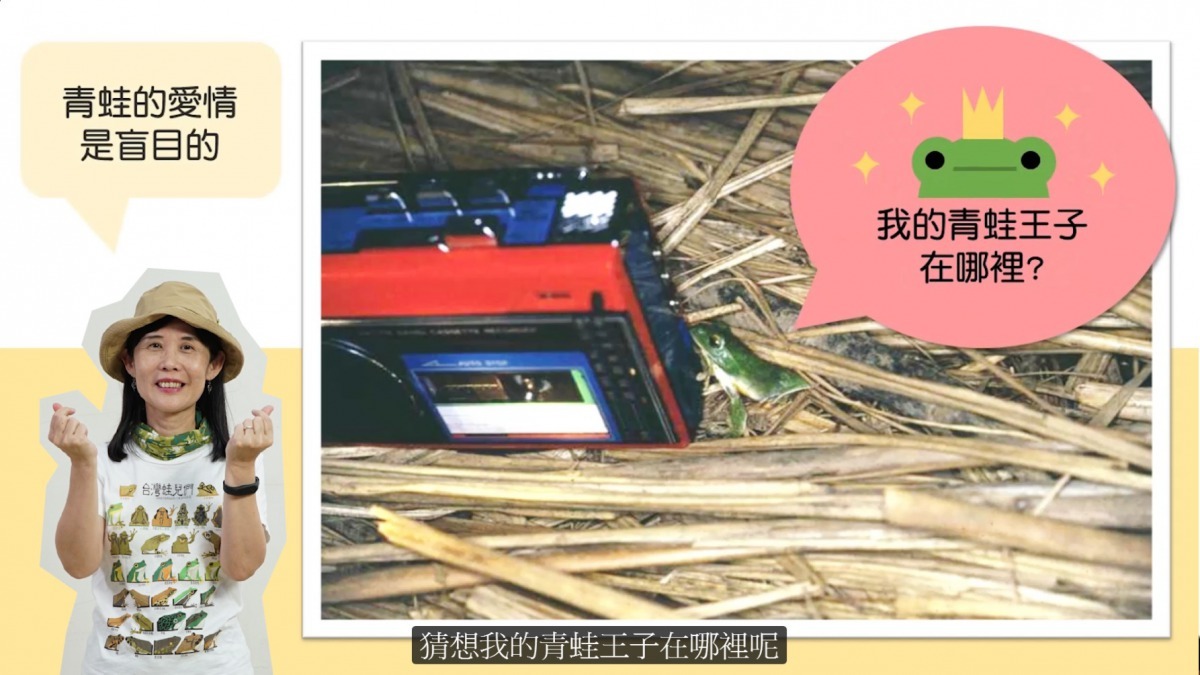 蛙蛙狂想曲課程畫面。國立東華大學/提供