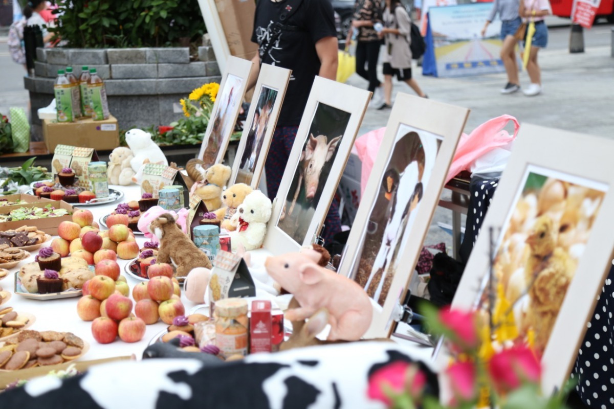 「純素30天」在人聲鼎沸的台北西門町舉辦首屆動物祈福大會。雨林/翻攝