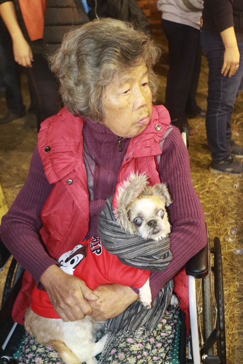 抱著愛犬看普渡的阿婆。高維奇／攝