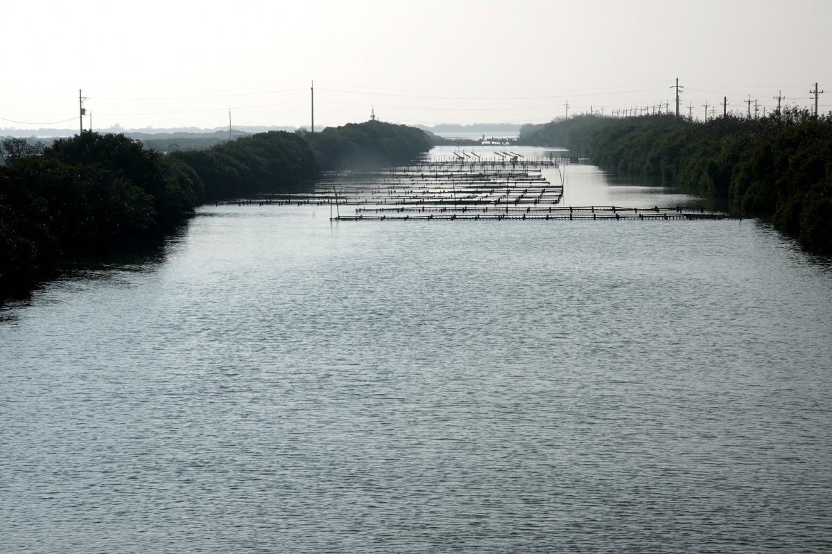 開車於西濱快速道路台南段，兩旁盡是魚塭、潮溝、昔日鹽田。高維奇／攝