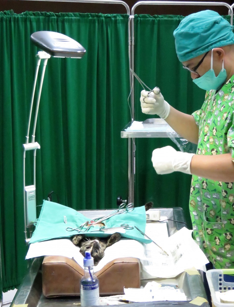 台南市動保處近年來執行偏鄉家犬貓絕育、寵物登記及狂犬病疫苗注射三合一活動。高維奇/攝