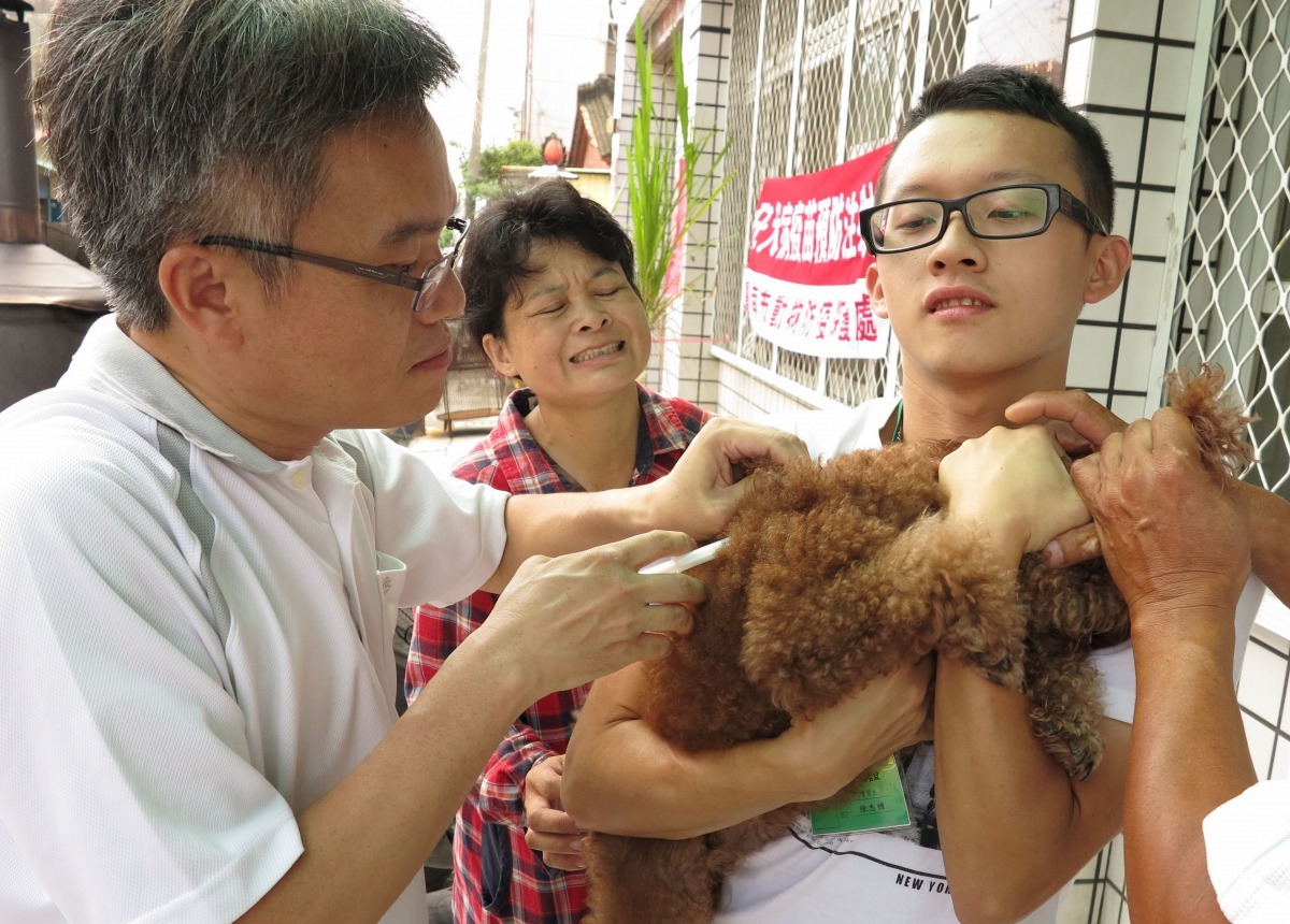 台南市動保處家犬貓結育三合一業務的主辦技士林昭男(左)對工作非常投入。高維奇/攝