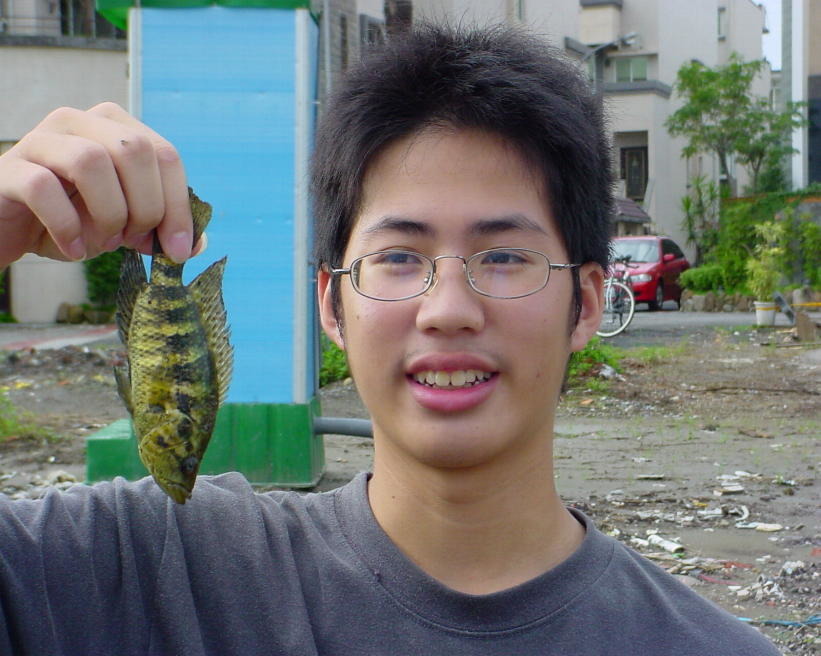 釣友在埤池釣到的外來種魚，大都是棄養造成。 高維奇／攝
