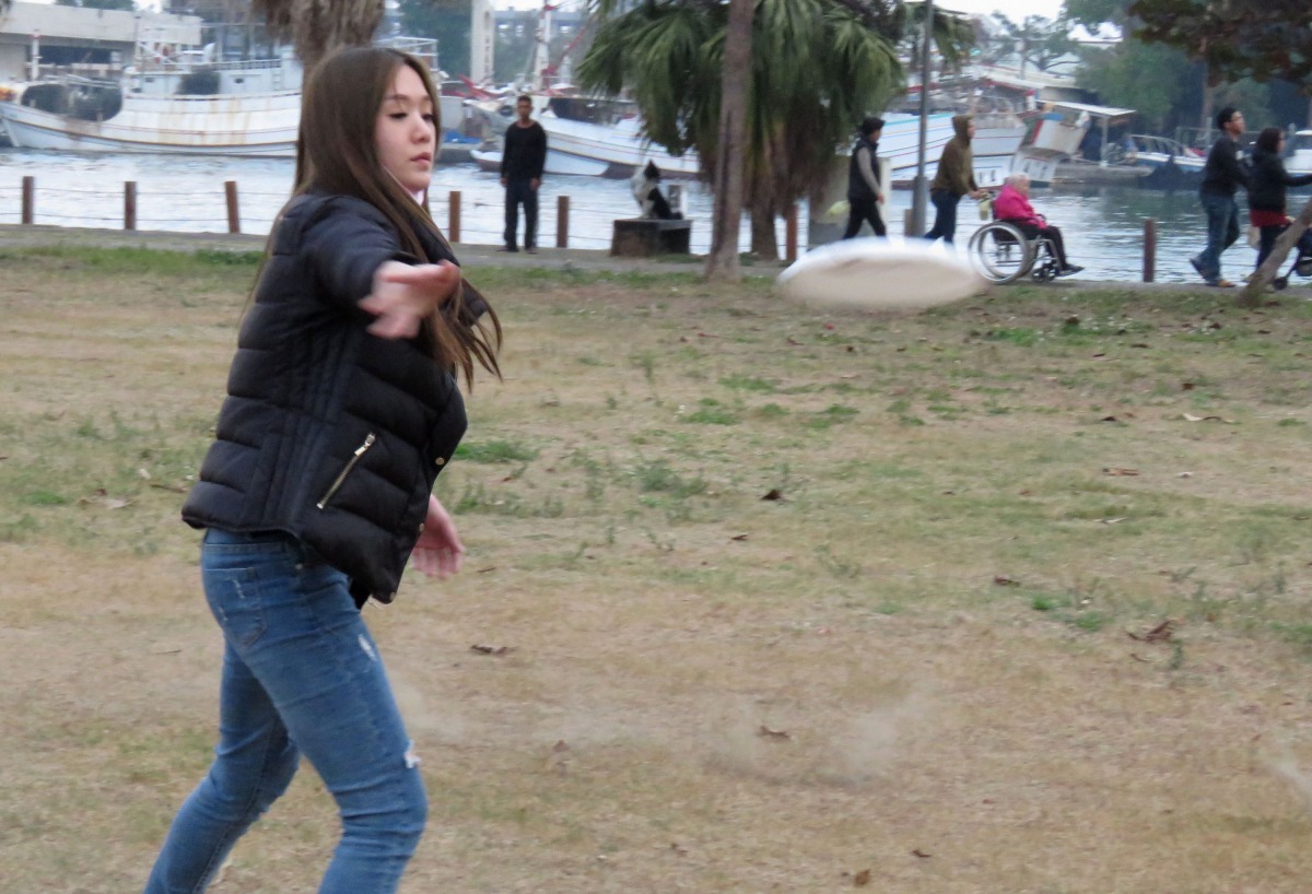 要讓狗順利接到飛盤得到好成績,主人必須熟練投擲技巧。高維奇/攝