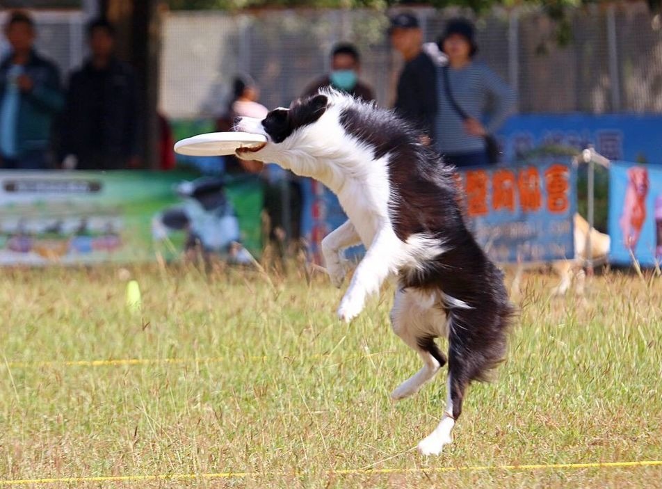 布來恩得到計時賽初級組第一名。圖/TFDA提供
