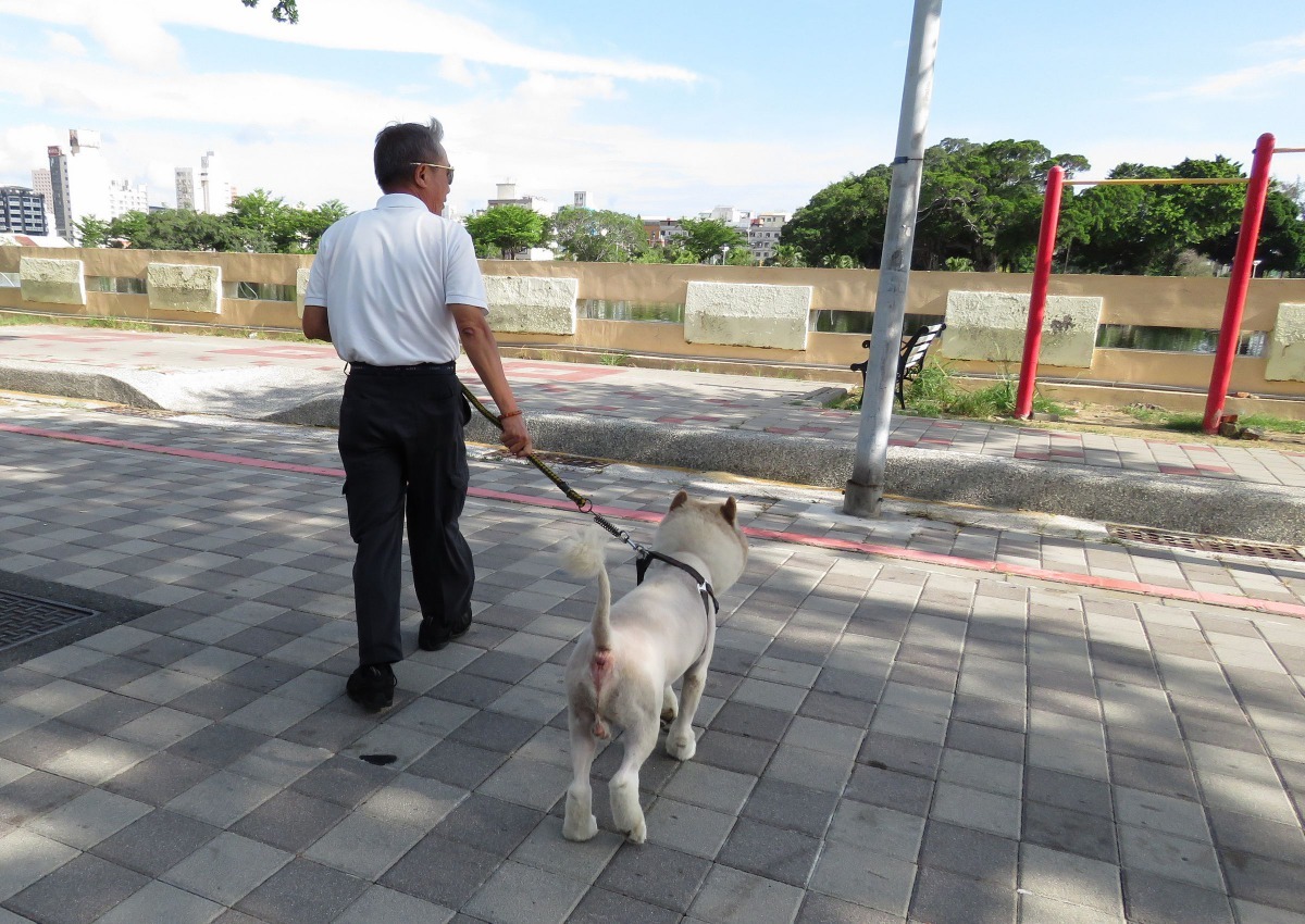 不管在什麼場合，飼主永遠要記得「遛狗繫狗鏈，隨手清狗便」。高維奇／攝