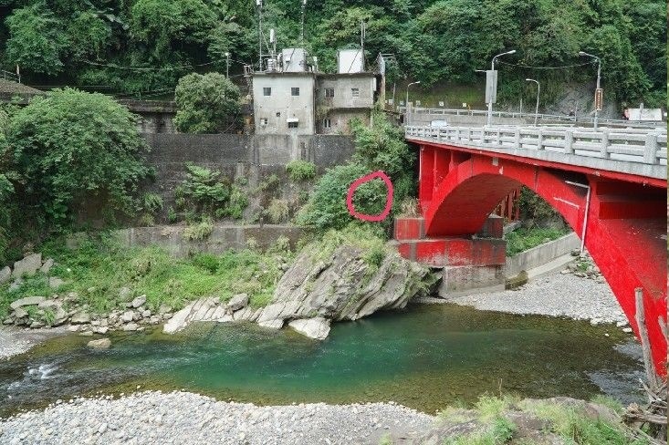 三峽湊合橋犬隻受困地點，地形險峻。新北市動保處/提供