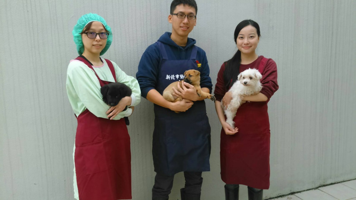 每個週末,宜璇(左)跟他家人與同學會到新店動物之家當志工。劉凱/翻攝