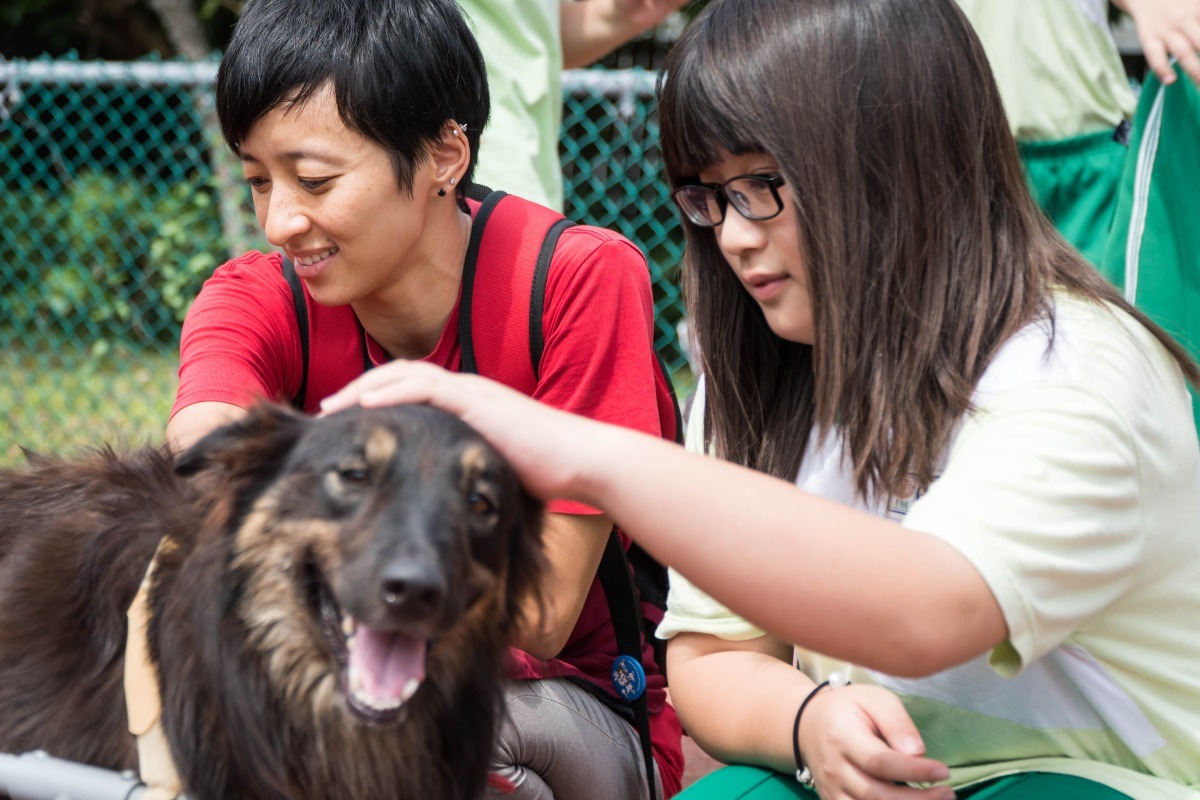 生命教育志工講師帶領學員一起和狗狗親密接觸。劉凱/翻攝