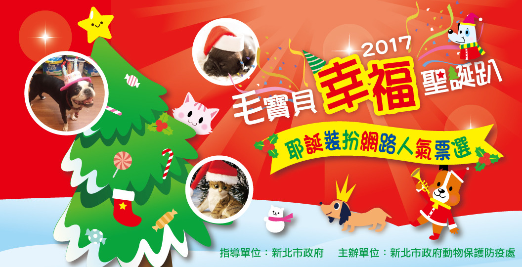 新北聖誕裝扮網路人氣票選活動，創意裝扮票選熱烈進行中!新北市動保處/提供