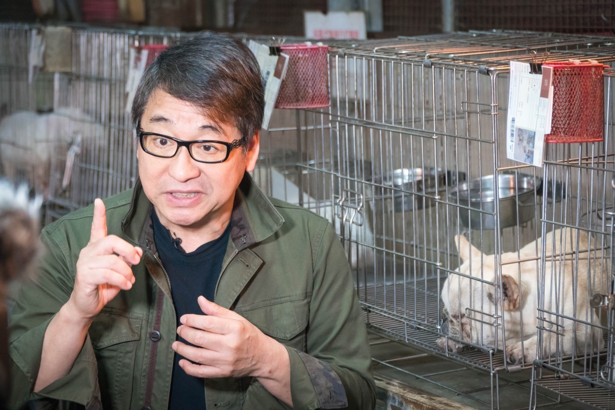 李濤前往板橋動物之家拍攝公益影片，宣導「零安樂，零棄養」。劉凱/翻攝