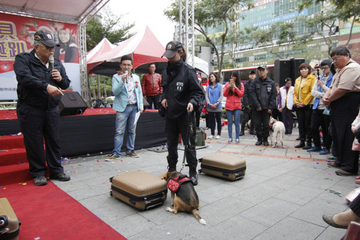 緝毒犬現場示範找毒品。劉凱/攝