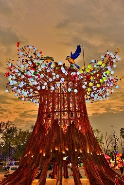 「森生守護」為名的主展區