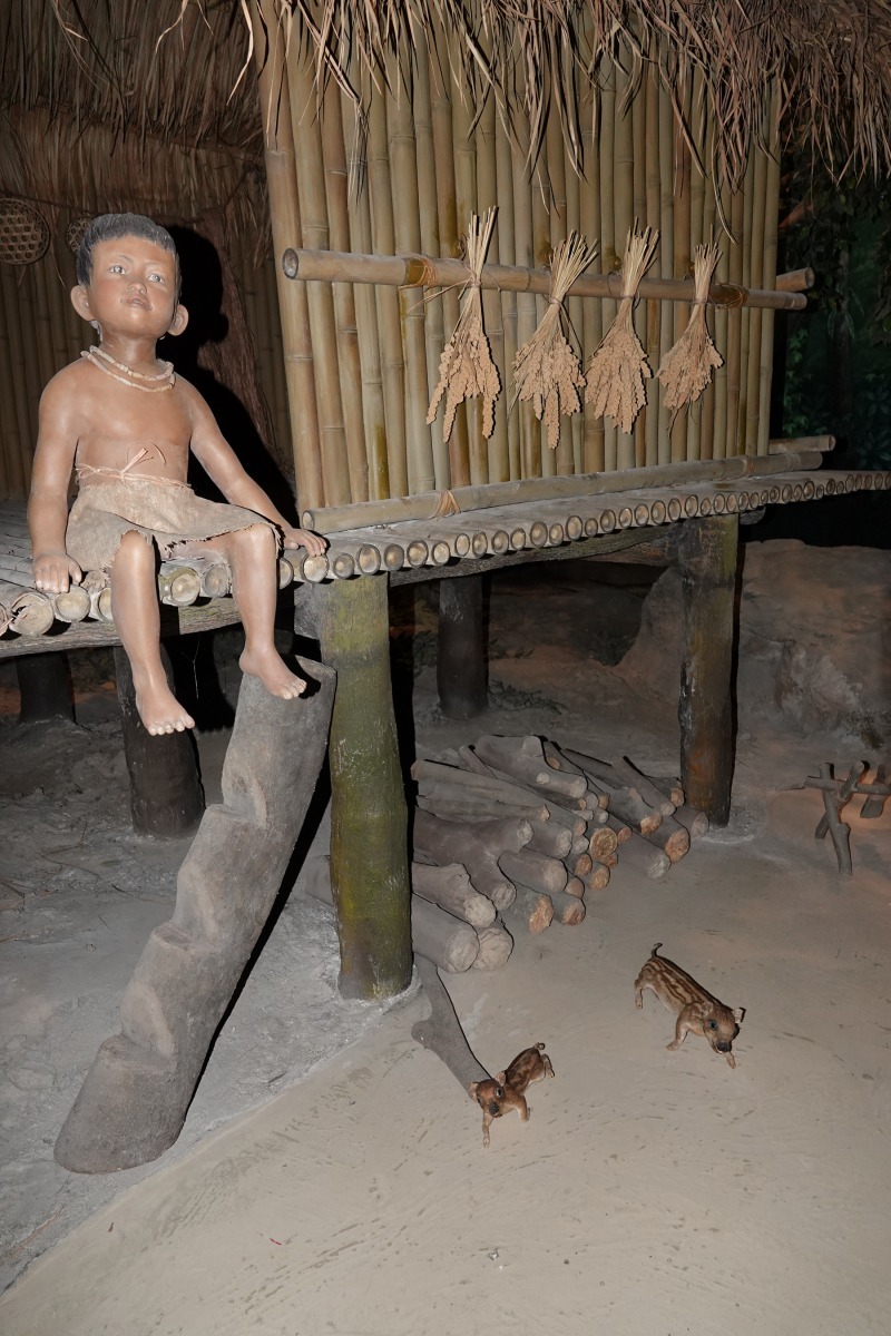 史前人類住高腳屋，屋下養豬。高維奇／攝
