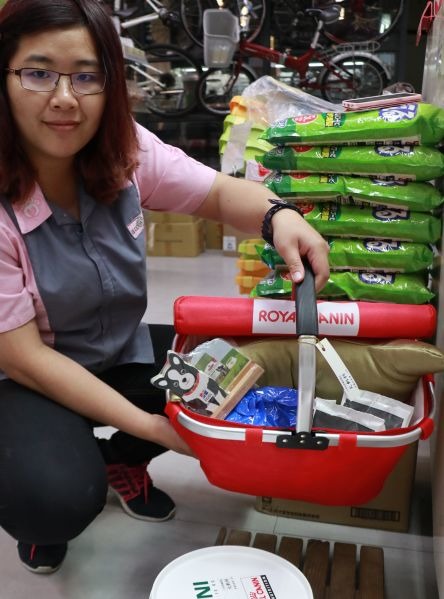 寵物用品業者把握狗年商機,比照百貨公司推出福袋。高維奇/攝
