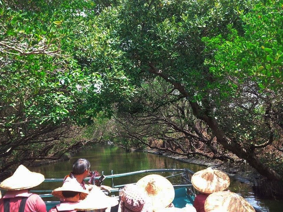 在四草紅樹林保護區水道搭乘膠筏沿途可欣賞全省僅有的四種紅樹林。高維奇/攝