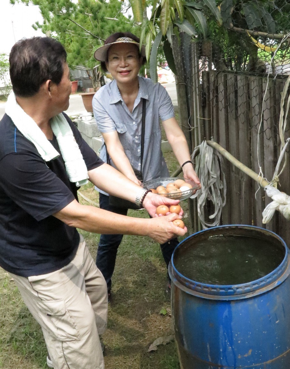 自己養雞撿蛋安全衛生，帶來生活樂趣。高維奇／攝