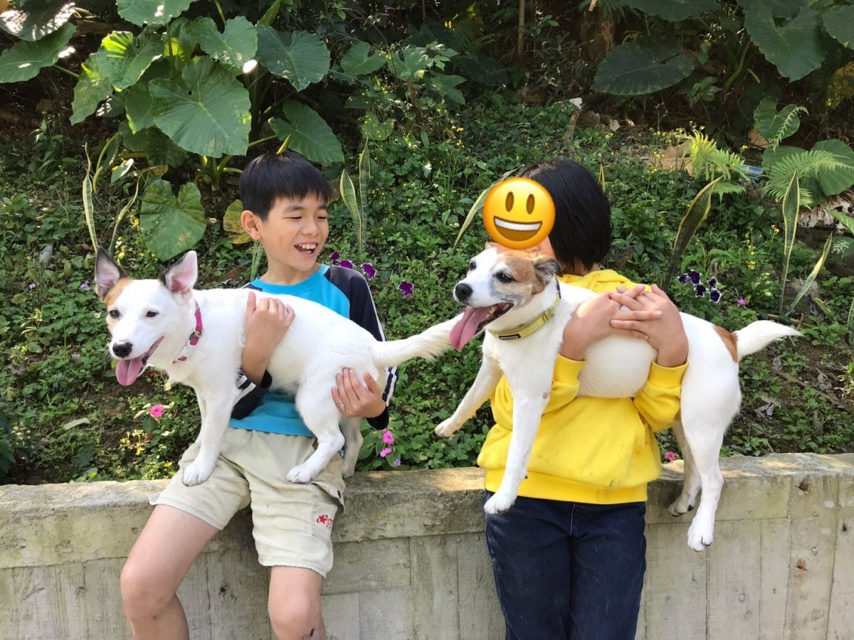 歡樂過後，院童們一直抱著狗，捨不得讓跳跳拔一行離開。圖／跳跳家族提供