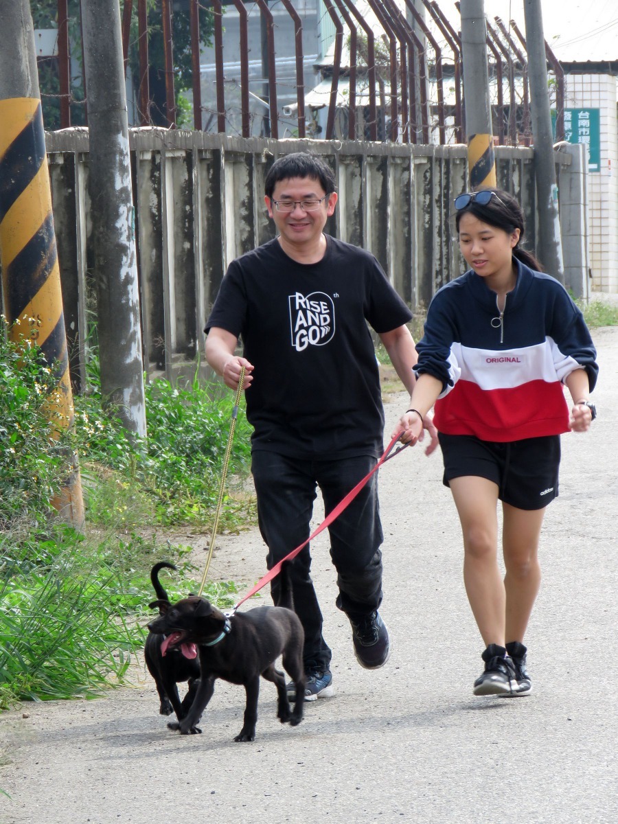 灣裡收容所周邊道路車輛少，很適合志工遛狗。高維奇／攝