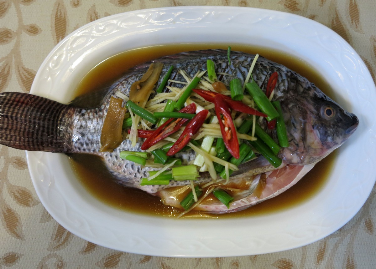 近年來火紅的台灣鯛,除暢銷國內外,甚至加工成生魚片外銷。高維奇/攝