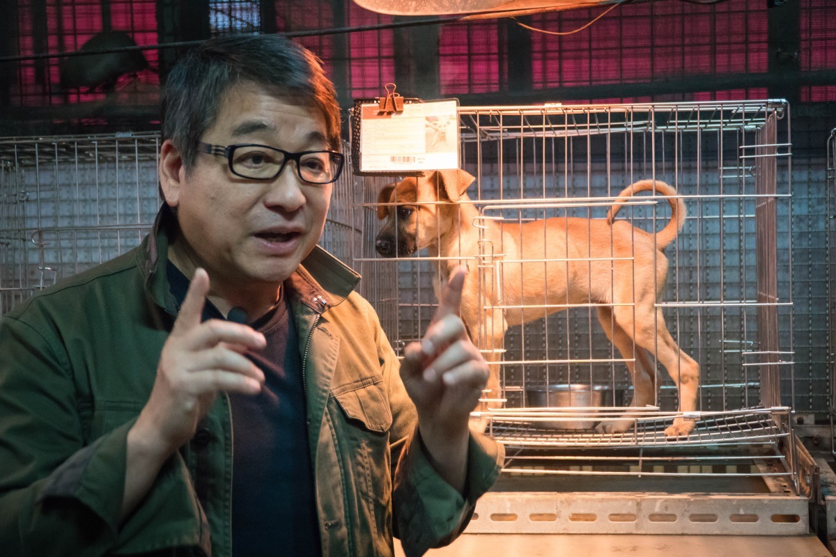 知名新聞主持人李濤也是一位愛狗人士，他呼籲大家「愛，是一種責任」。劉凱/翻攝