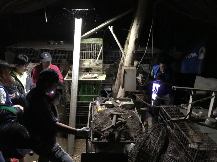 新北市動保處11月時在三峽查獲非法繁殖狗場，現場環境髒亂不堪。劉凱/翻攝