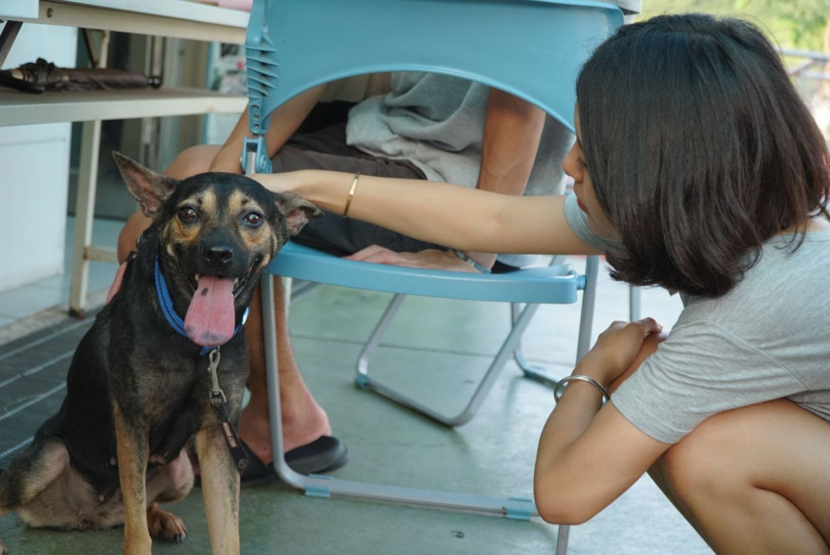 「小不點」與新主人在板橋動物之家相見歡。劉凱/翻攝
